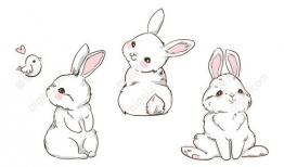 动漫兔子,兔子动漫的奇幻之旅