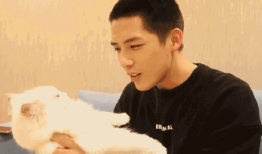 吃瓜爆料姚晨陈星旭,娱乐圈新恋情引热议